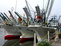 Kushiro Fishing Fleet.