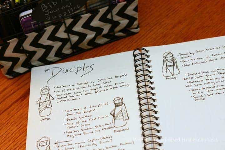 Gospel of John Journal and Doodle Bible Study