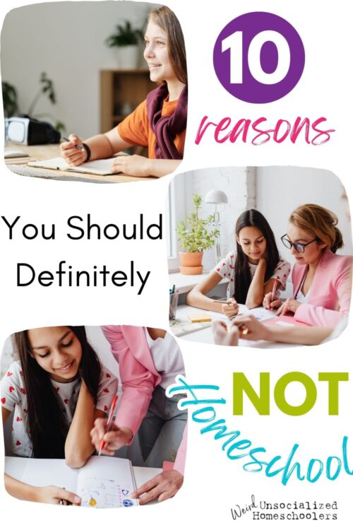 10 Reasons You Should Definitely Not Homeschool