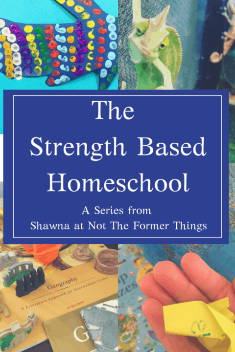 A Strength Based Homeschool - Shawna Wingert