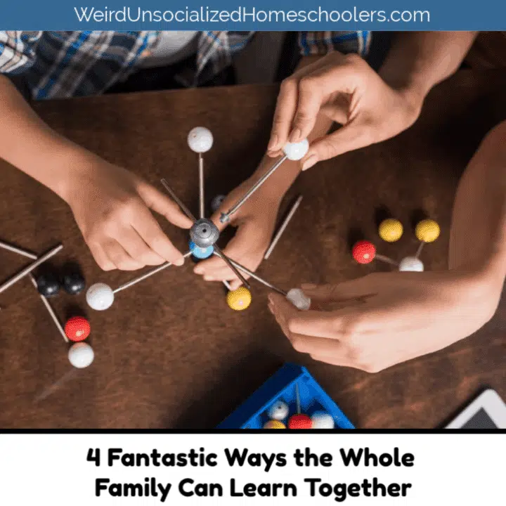 4 Fantastic Ways the Whole Family Can Learn Together