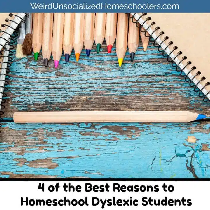 4 of the Best Reasons to Homeschool Dyslexic Students