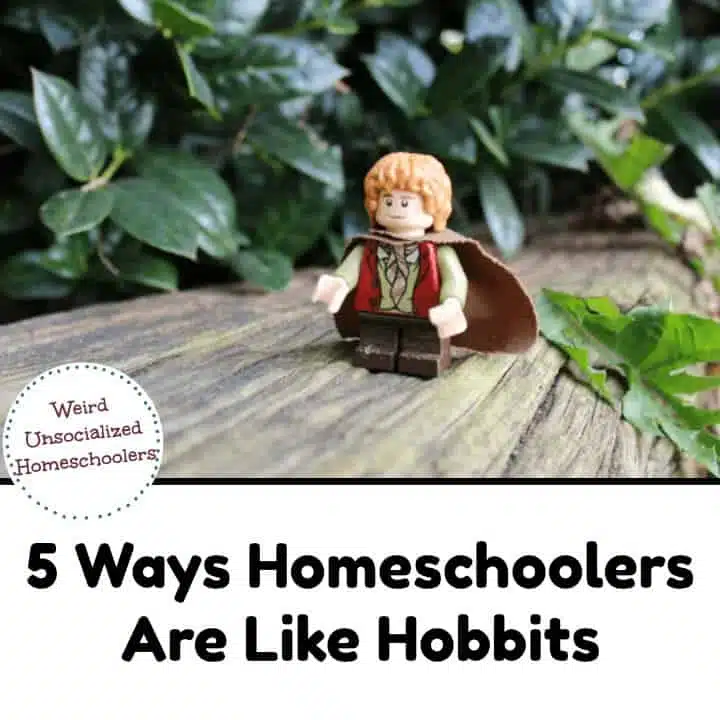 5 Surprising Ways Homeschoolers Are Like Hobbits