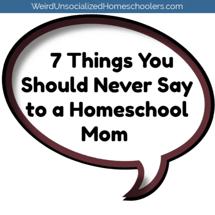 7 Things You Should Never Say to a Homeschool Mom