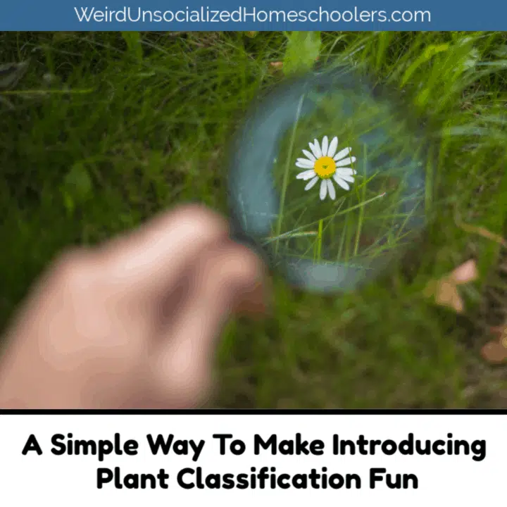 A Simple Way To Make Introducing Plant Classification Fun