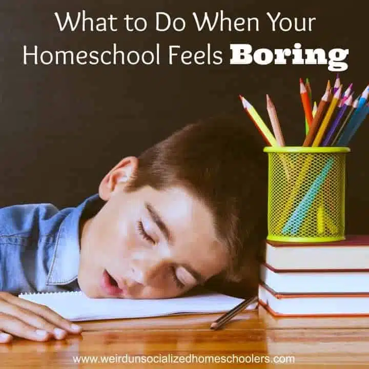 What to Do When Your Homeschool Feels Boring