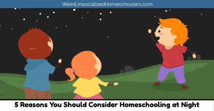 5 Reasons You Should Consider Homeschooling at Night