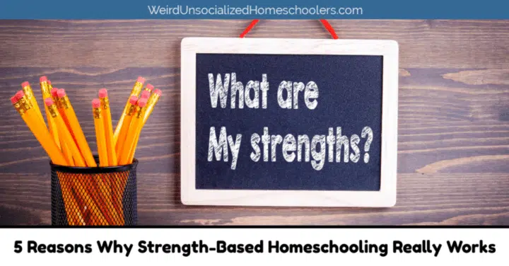 5 Reasons Why Strength-Based Homeschooling Really Works