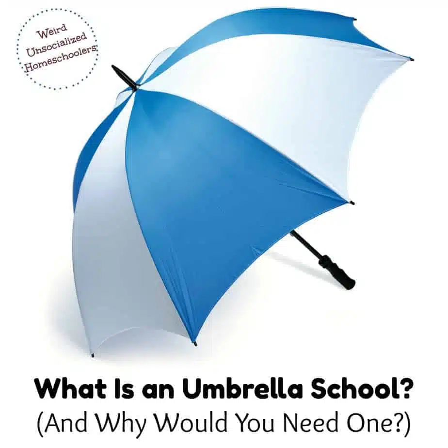 What Is an Umbrella School?