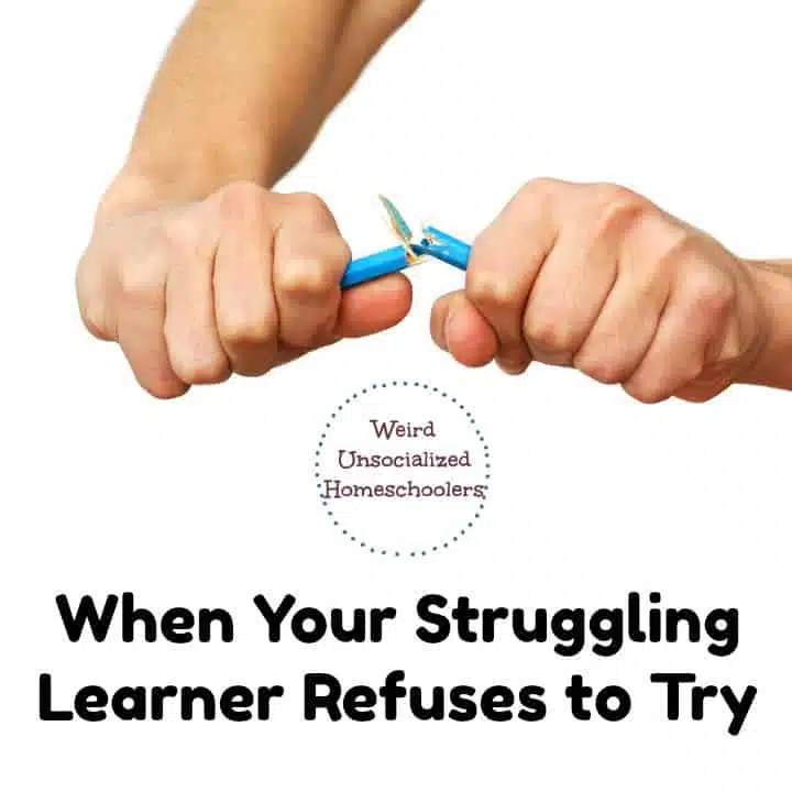 When Your Struggling Learner Refuses to Try